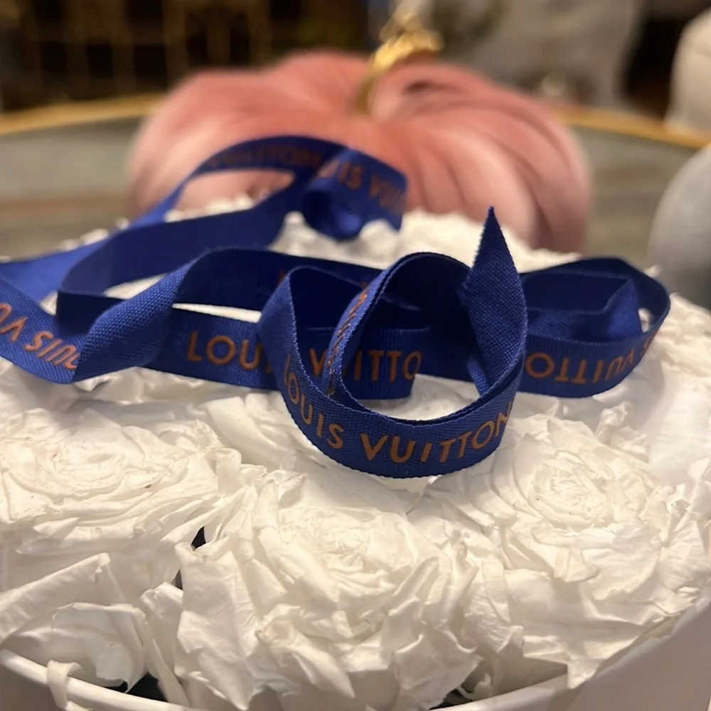 Louis‎ Vuitton Blue Ribbon Authentic